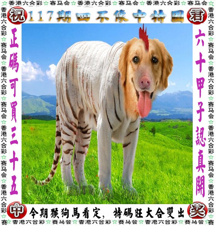 王中王四不像图的一肖——探寻神秘文化符号背后的故事，探寻神秘文化符号背后的故事，王中王四不像图的一肖揭秘