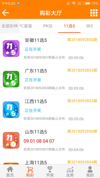 王中王平特一肖正版资料，深度解析与探讨，王中王平特一肖正版资料深度解析与探讨专题