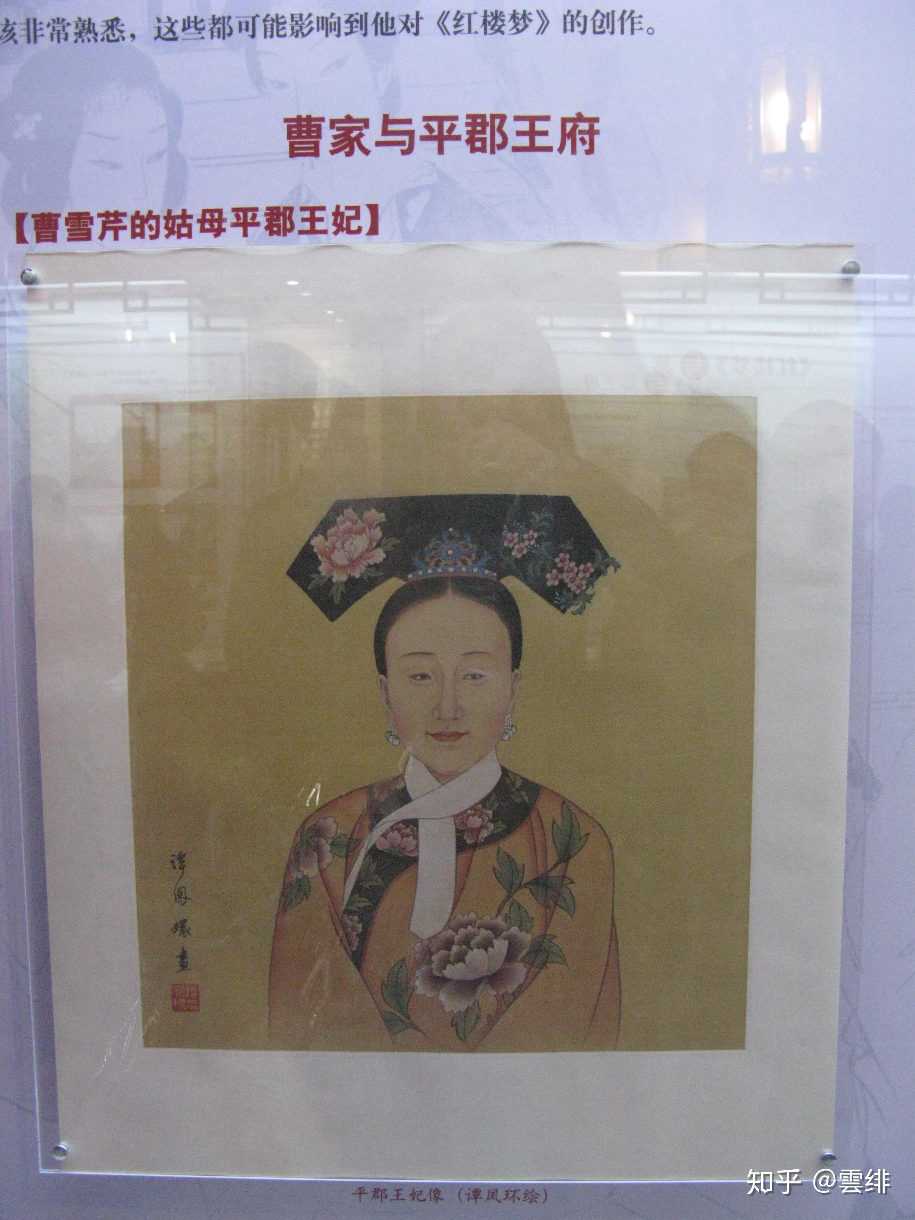 王中王平特一肖妃子，宫廷风云与传奇人生，宫廷风云传奇，王中王平特一肖妃子的一生