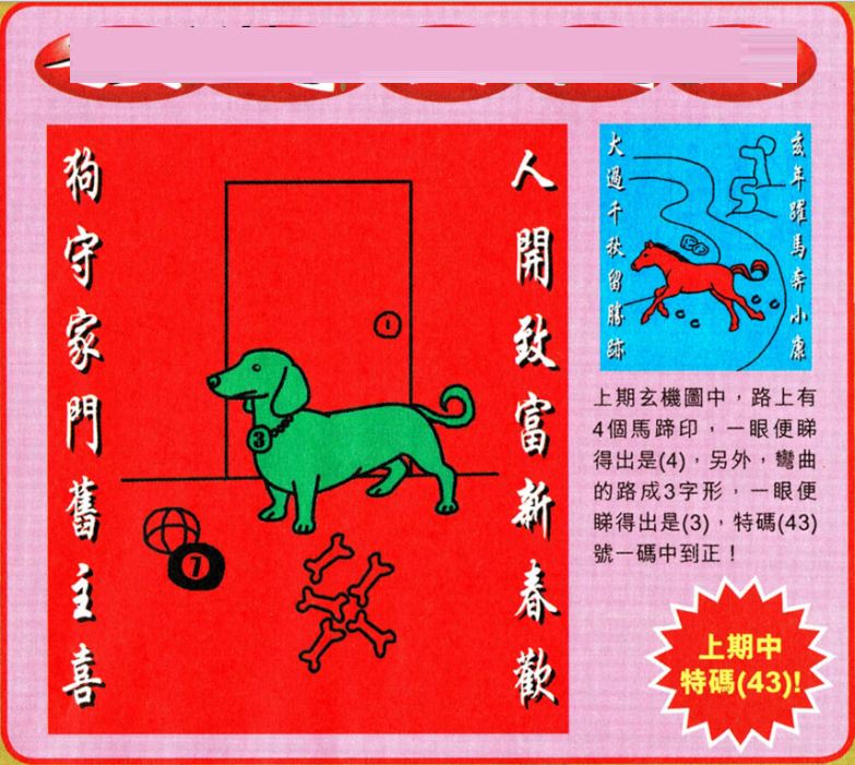 智慧与魅力展现