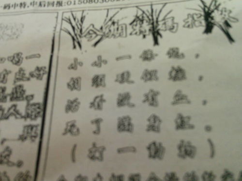 刘伯温平特一肖四不像，传奇人物与神秘预言的解读，刘伯温平特一肖四不像，传奇人物背后的预言与神秘解读