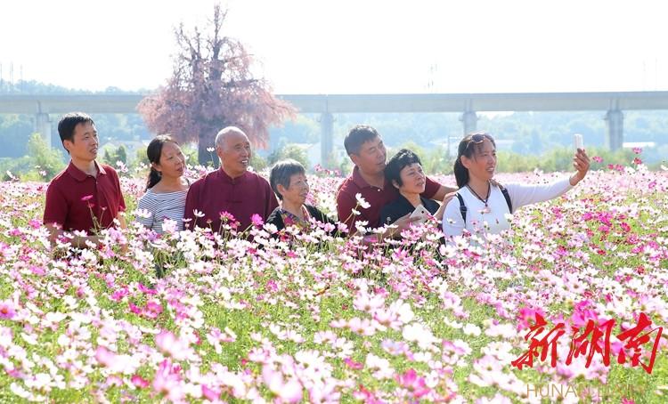 东风61洲际核导弹，爆炸威力与战略威慑的力量，东风61洲际核导弹，战略威慑与爆炸威力的力量展现