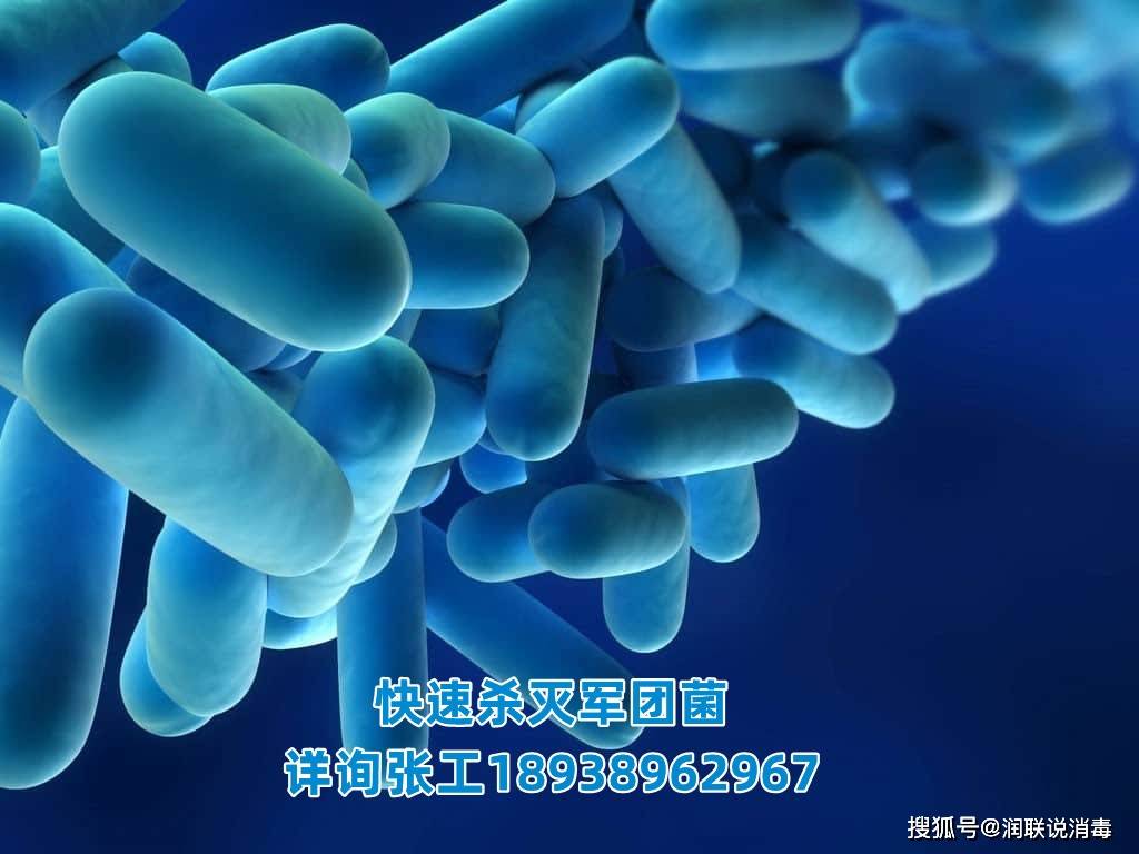 集团菌，一种不容忽视的微生物，集团菌，不容忽视的微生物探究