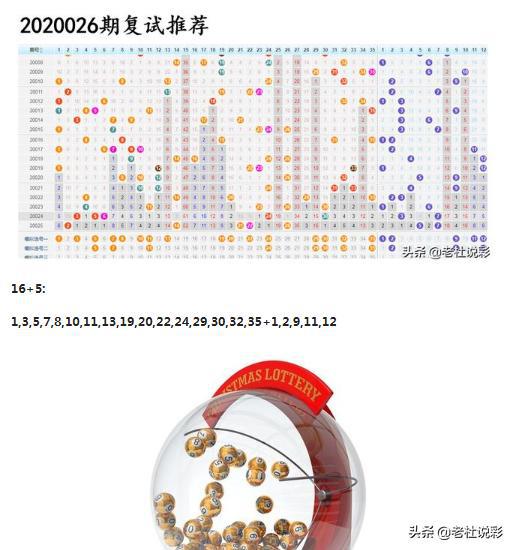 王中王026期指一生肖——探寻背后的神秘与寓意，王中王026期生肖探寻，背后的神秘与寓意揭秘