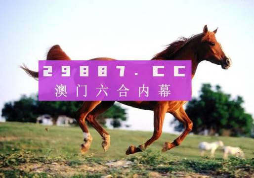 澳门精准一肖一码的独特魅力与探索，澳门精准一肖一码的魅力探索与揭秘