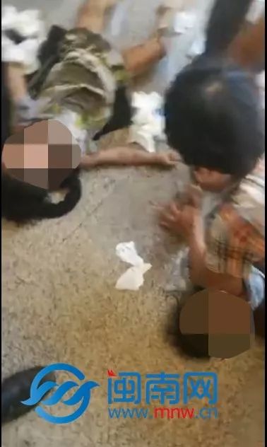 中央新闻聚焦福建兄妹事件，揭示事件真相与社会反响，中央新闻关注福建兄妹事件，真相与社会反响揭秘