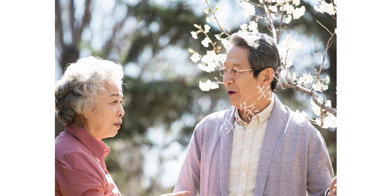 东风41与东风61,究竟谁更厉害?,东风41与东风61,谁的技术更胜一筹?