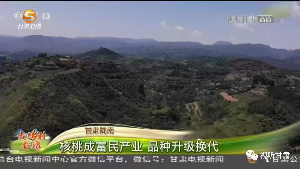 甘肃成县最新新闻动态，甘肃成县最新新闻速递