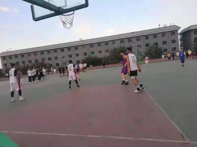 澳门二四六天下彩天天免费大全——探索澳门彩票文化的魅力，澳门彩票文化魅力探索，二四六天下彩免费大全