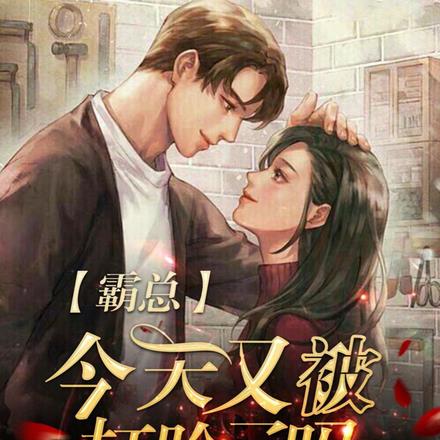 今天怼霸总了吗？，今天与霸总的交锋，一场较量？