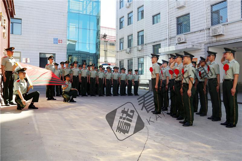 胸标军衔图解，揭示军队等级与荣誉的象征，胸标军衔图解，揭示军队等级与荣誉的标识