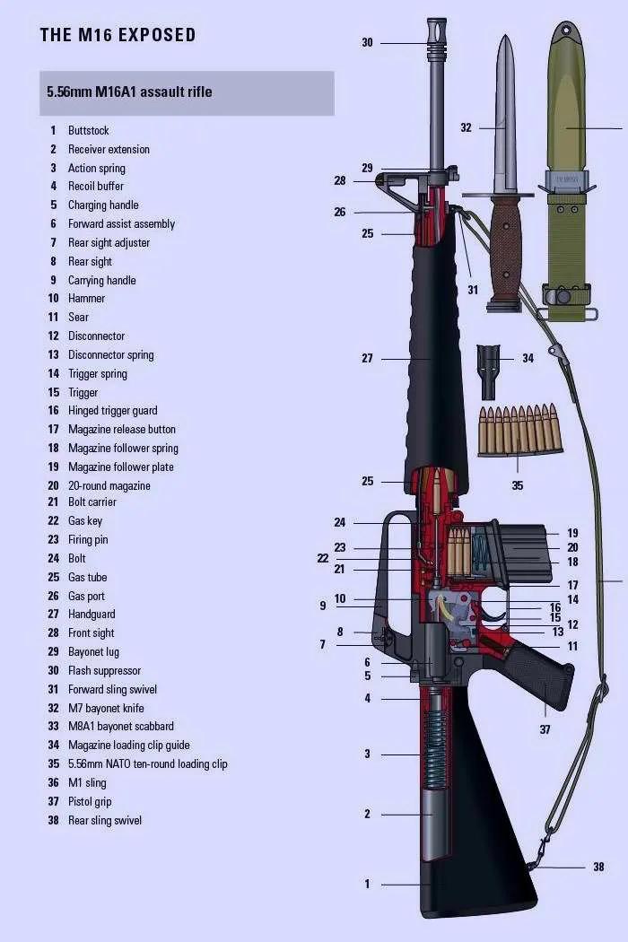 十大烂枪排名，深度解析与反思，十大烂枪排名深度剖析与反思