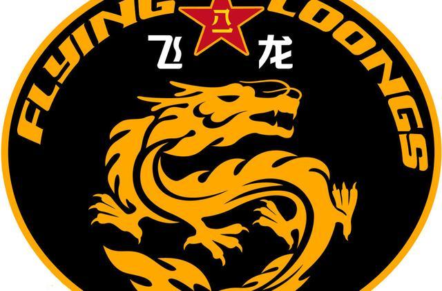 中国特种部队概述及其分类，中国特种部队概览与分类简介