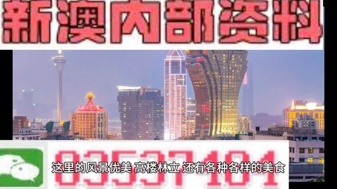 新澳门精准资料期期精准，探索与解读，新澳门精准资料深度解读与探索
