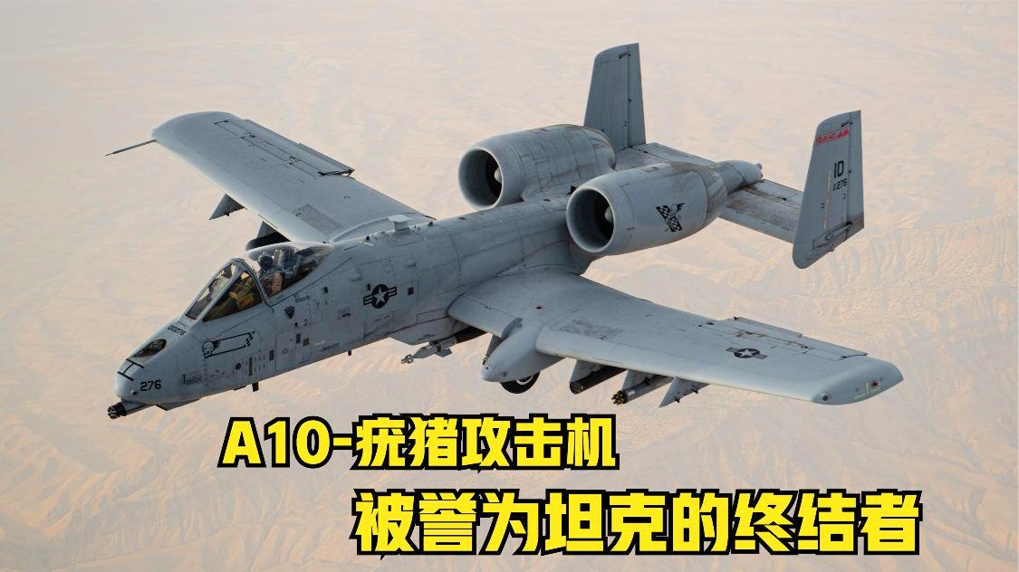 A10雷电与A10疣猪，空中力量的象征，A10雷电与A10疣猪，空中力量的标志