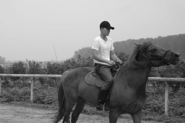 王中王新四不像一肖，探索神秘与传奇，王中王新四不像一肖，神秘与传奇的探索之旅