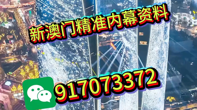 澳门精准免费大全——探索未来的新澳门（2025展望），澳门未来展望，精准免费大全——新澳门2025年发展探索