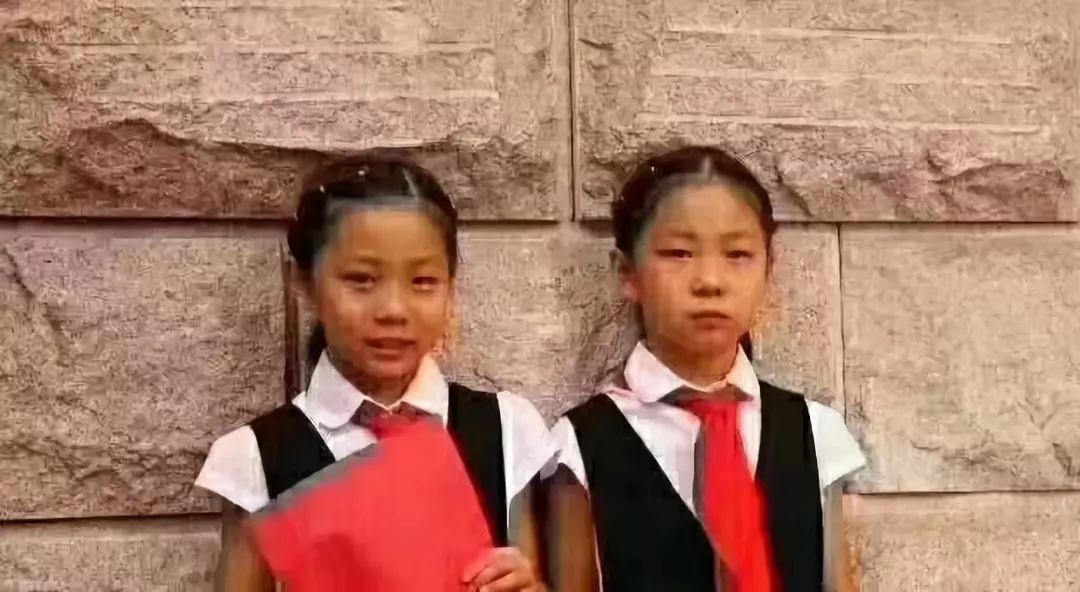 最新消息，已无生命体征——深度探讨与应对，无生命体征，深度探讨与应对最新消息
