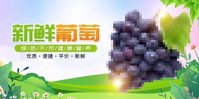 王中王葡萄新平特一肖——探寻卓越葡萄品种的故事，王中王葡萄，探寻卓越品种，一肖独领风采的故事