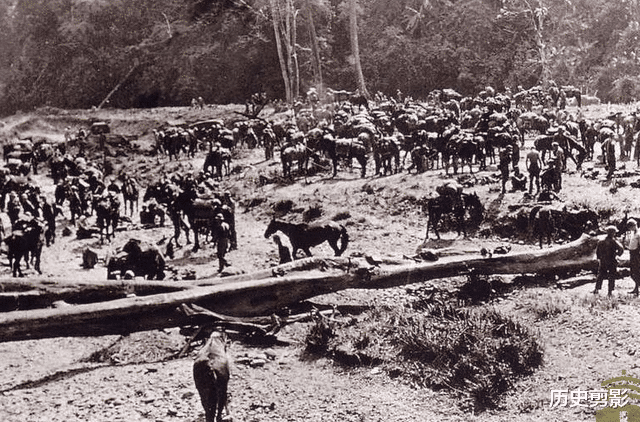 第二次远征军入缅作战，英勇抗战与民族精神的彰显，第二次远征军入缅作战，英勇抗战与民族精神的辉煌展现