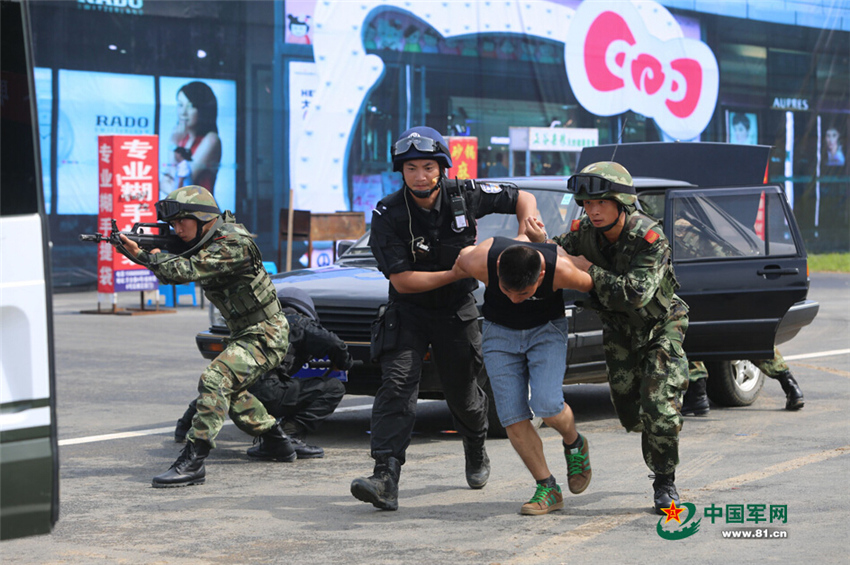 武警与公安对峙事件，深度解析与反思，武警与公安对峙事件，深度解析与反思背后的原因和启示