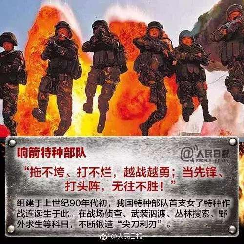 中国特种兵头像，神秘与荣耀的象征，中国特种兵头像，神秘与荣耀的象征标志