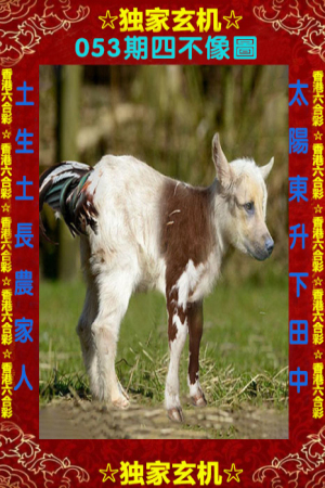 四不像王中王必中一肖——探寻神秘预测背后的真相,揭秘四不像王中王必中一肖,探寻神秘预测背后的真相