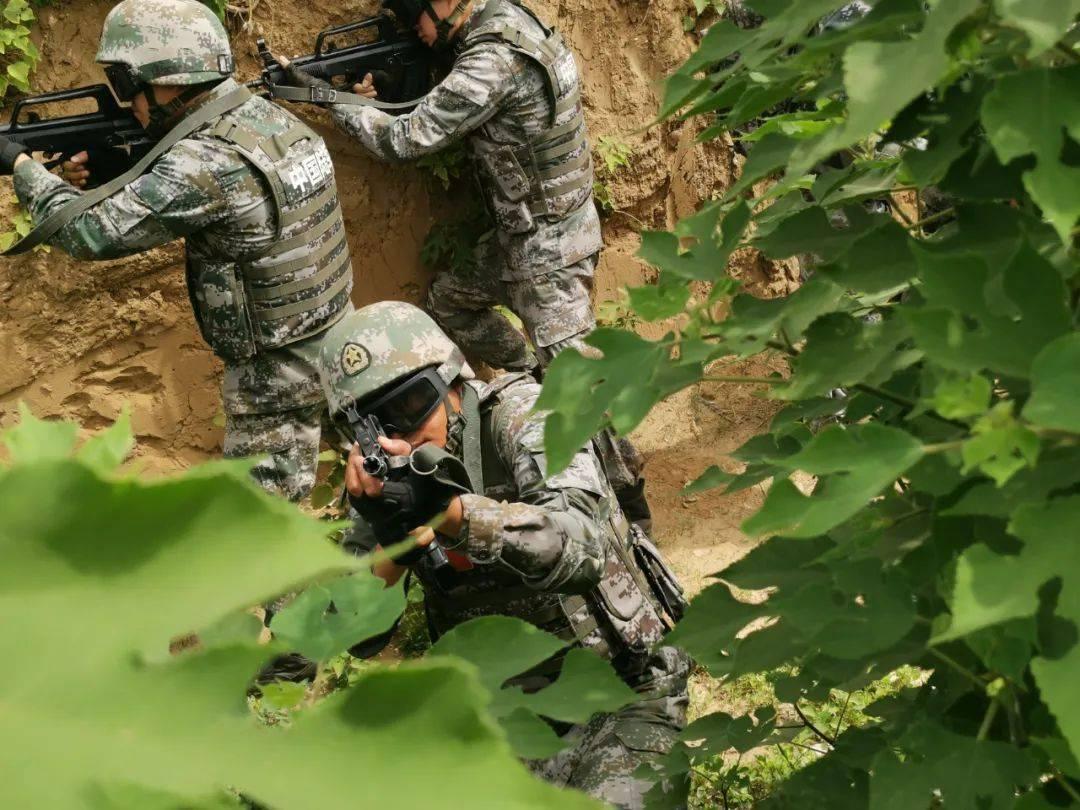 二炮部队中的利刃，二炮部队中的利刃，揭秘利刃力量之源