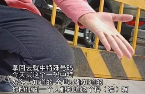 2025今晚香港开特马开什么