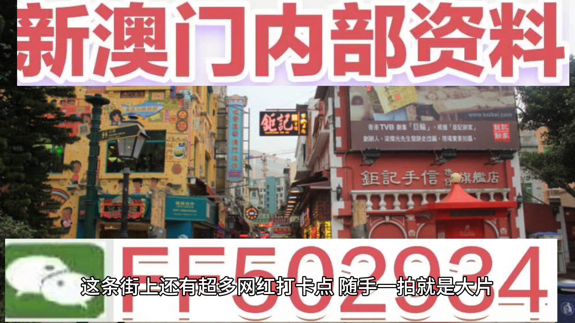 新澳门六开资料大全，探索与解读，澳门新六开资料解读与探索指南