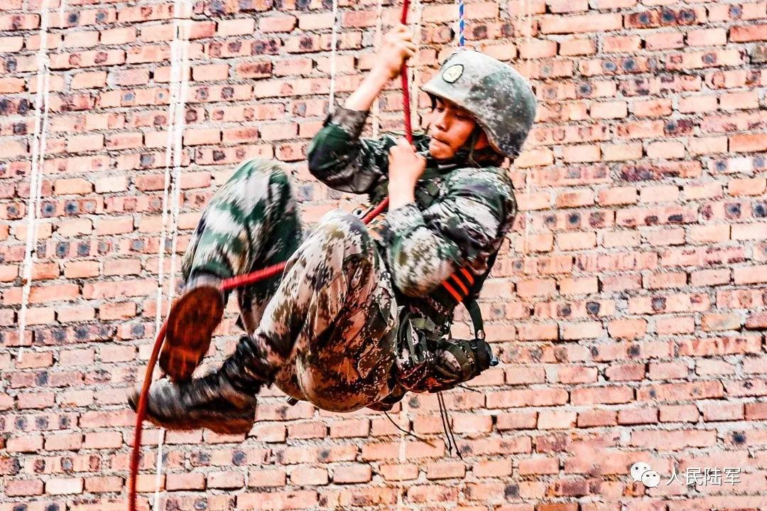 关于中国军队裁撤第14集团军的原因分析，中国军队裁撤第14集团军决策背后的原因深度解析