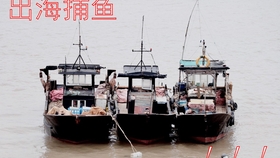 关于快艇价格，多少钱一艘船的全面解析，全面解析，快艇价格及购买一艘船的费用详解
