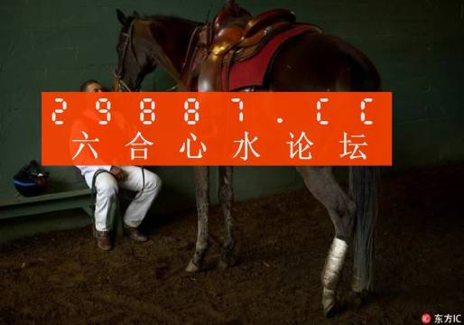刘伯温四不像肖一码种，神秘预言与传奇智慧，刘伯温四不像肖一码种，神秘预言背后的传奇智慧