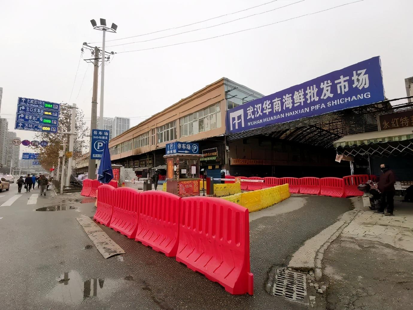 华南海鲜市场，繁荣与变迁的图片记录，华南海鲜市场，繁荣与变迁的图片纪实
