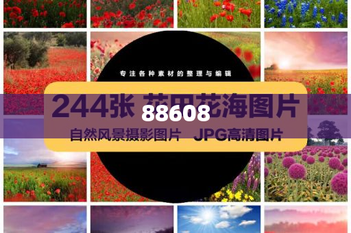 2025年正版资料免费大全的背景故事