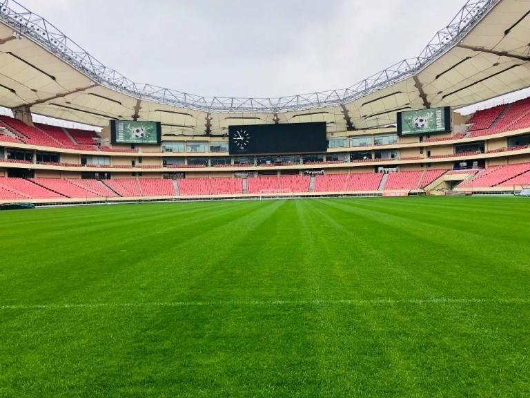 2023年亚洲杯，足球盛宴，激情燃烧，2023年亚洲杯，足球盛宴，激情燃烧之夜