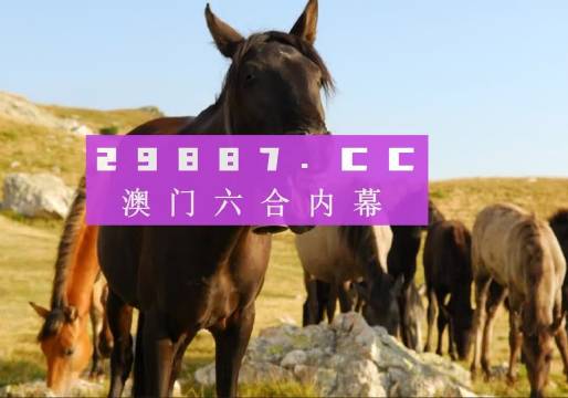 现代博彩新领域探索