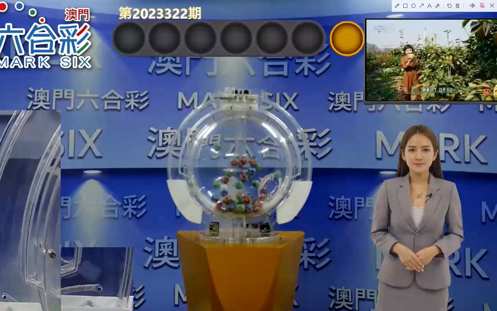 澳门六开奖结果第361期深度解析与观察，澳门六开奖结果第361期深度解析与观察报告