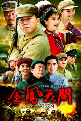 辛亥之钢铁雄心，钢铁行业的崛起与变革，辛亥钢铁崛起与变革，钢铁行业的雄心壮志