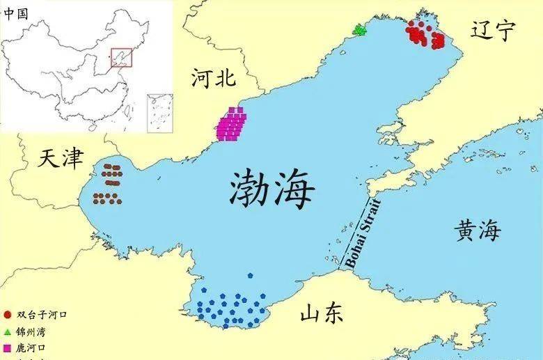 渤海黄海东海南海地图，揭示中国四大海域的地理奥秘，中国四大海域揭秘，渤海、黄海、东海、南海地图全解析