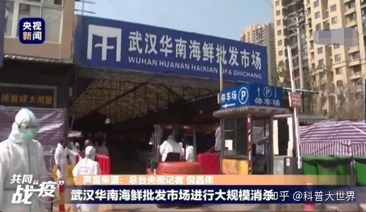 华南海鲜市场与一号病人的故事，华南海鲜市场与一号病人的关联故事