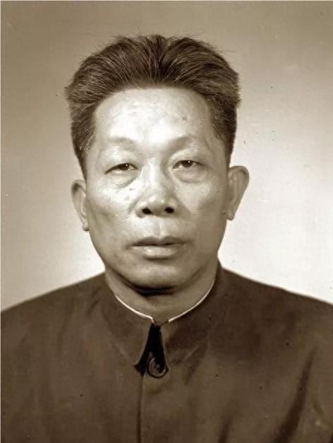 丁盛一起被处理的将军，历史背后的故事与教训，丁盛及其他被处理将军的历史故事与教训反思