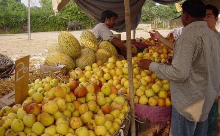 巴基斯坦与中国关系，深厚的友谊与合作的篇章，巴基斯坦与中国，深厚友谊与合作的新篇章