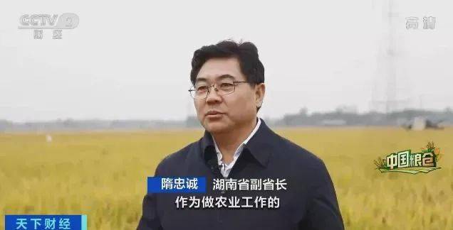 勇担使命的先锋——记第十四集团军参谋长杨毅，勇担使命的先锋，第十四集团军参谋长杨毅的奋斗历程