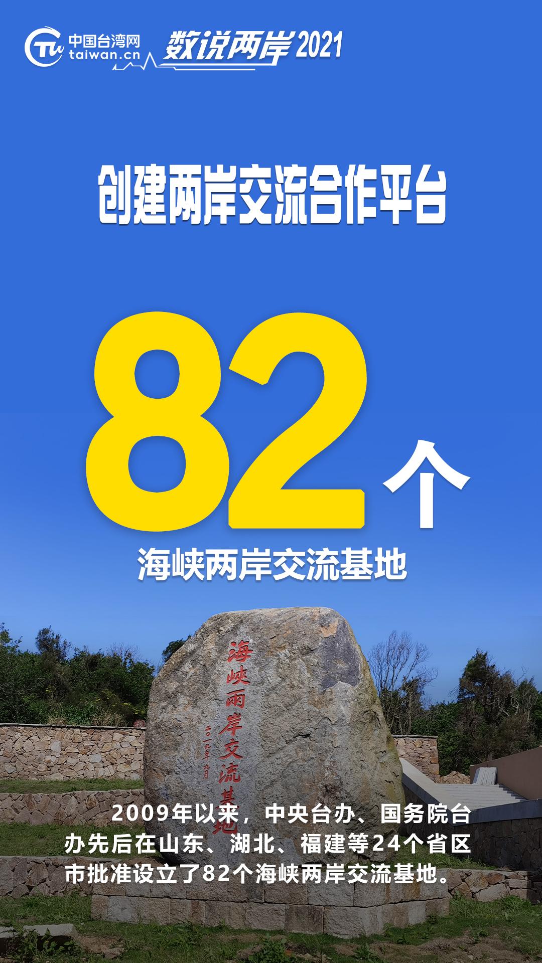 深度解读与体验分享
