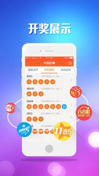 澳门王中王开奖结果一肖，探索与解析，澳门王中王开奖结果解析，一肖探索