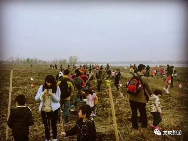 雄赳赳气昂昂
