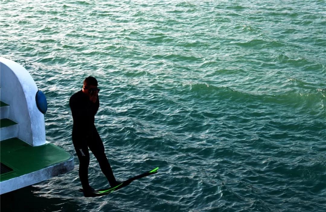 雪豹突击队，武警特种作战力量的杰出代表，雪豹突击队，武警特种作战力量的精英典范