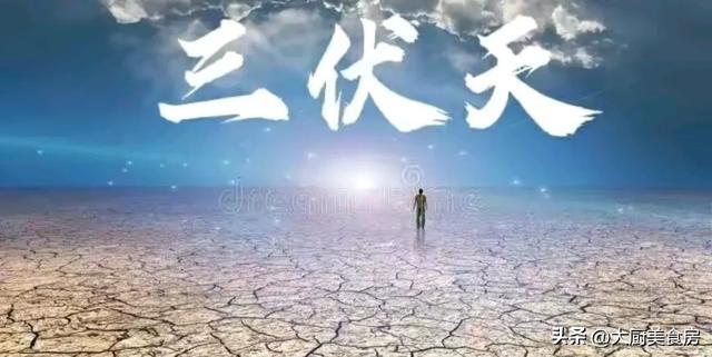 今日几伏天第几天，探究伏天的历史、气象与影响，伏天揭秘，历史、气象与影响的探究及今日进入第几伏第几天