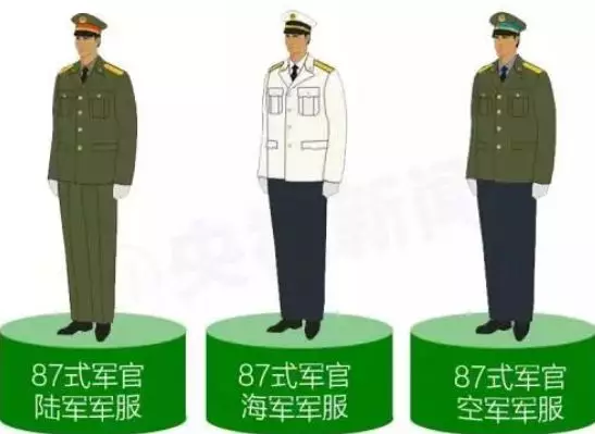 探究85式与87式的差异，一种深度对比，深度对比，探究85式与87式的差异分析